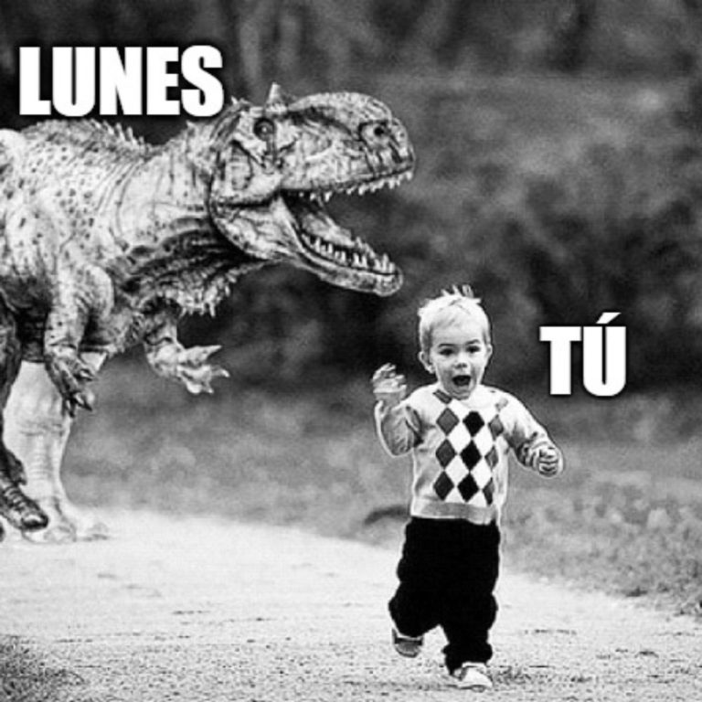 20 imágenes y memes graciosísimos de lunes para compartir por WhatsApp