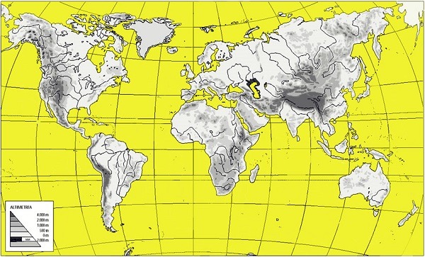 ▷【Mapamundi para imprimir】🥇, Mapas del mundo, Planisferios