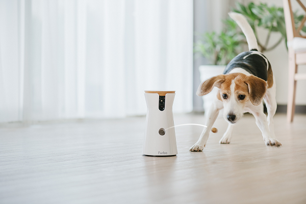 Furbo, cámara de vigilancia para mascotas que lanza premios a distancia