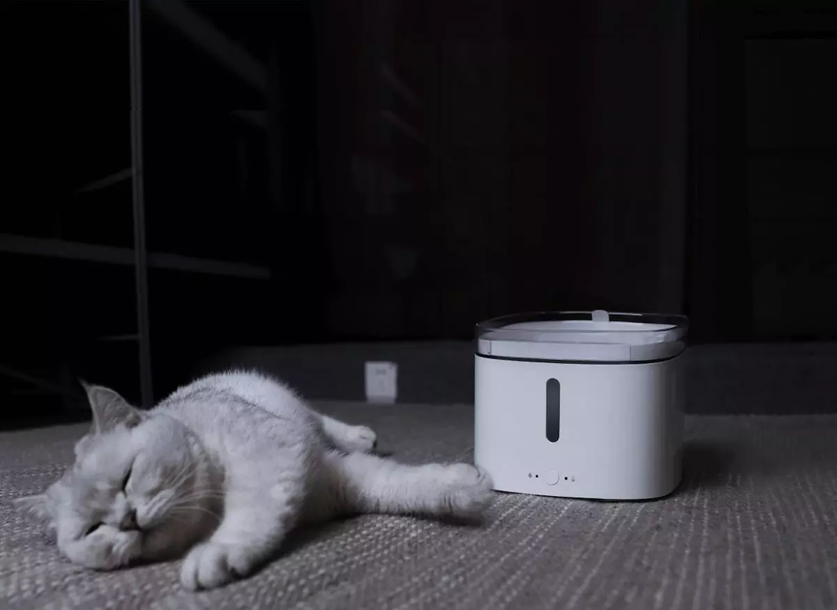 Xiaomi dispensador agua gatos y perros a la venta - Noticias Xiaomi