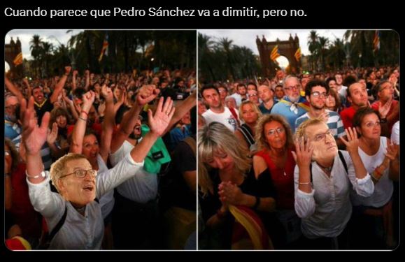 Los memes más divertidos e ingeniosos sobre la decisión de Pedro Sánchez (4)