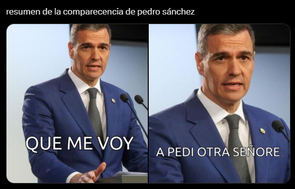 Los memes más divertidos e ingeniosos sobre la decisión de Pedro Sánchez (5)